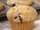 Wild Blueberry Mandarin Orange Muffins