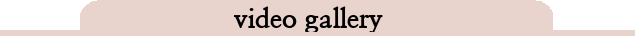 Vidgal2.png