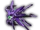 Cloptor