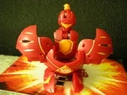 Ara pyrus.jpg (11 KB) Pyrus Aranaut