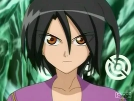 Shun-shun-kazami-13148724-312-236