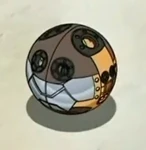 Wida.jpg (52 KB) Magma Wilda in geschlossender Ballform