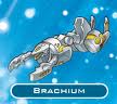 Brachium2