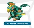 Flashingram