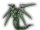 Cimoga