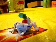 Bild 034.jpg (41 KB)