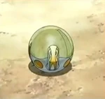 7.jpg (18 KB) Jeldon in geschlossender Ballform