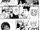 Chapter 161