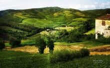 Landscape1.jpeg