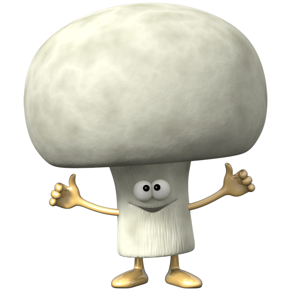 Bob The Derpy Mushroom Baldi S Basics Fanon Wiki Fandom - the retarded broom thing baldis basics roblox wiki