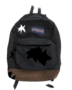 Jansport sales space metrics