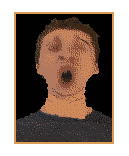 Principal-icon.png