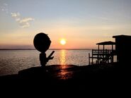 Baldi Youtooz on a fence in front of the sunset.