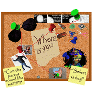 A conspiracy board.