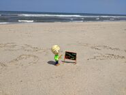 Baldi Youtooz at the beach.