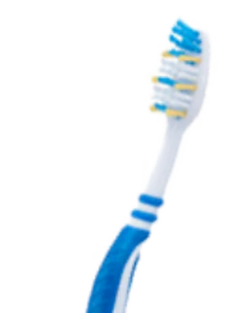 Brush Your Teeth | Baldi�s Basics Roblox Wiki | Fandom Brush Your Teeth | Baldi�s Basics Roblox Wiki | Fandom