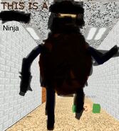 Ninja