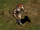 Ingot
