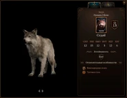 Волк3.jpg (161 КБ)