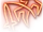 Фінт