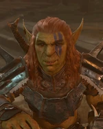 Торгаш Грат