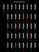 Перчатки героизма в различных вариантах окрашивания