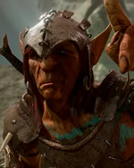 Драчун Ранцер