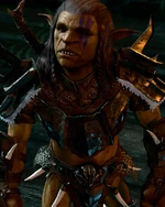 Храбрец Друкк