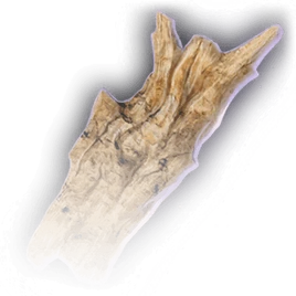 Кора суссура