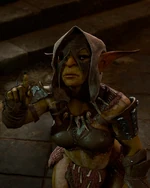 Ищейка Кирц