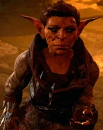 Остроглазка Насс