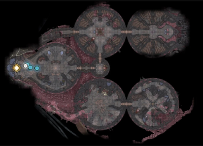 Nautiloid map