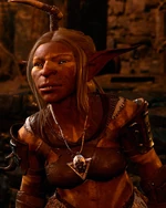 Ищейка Фезк