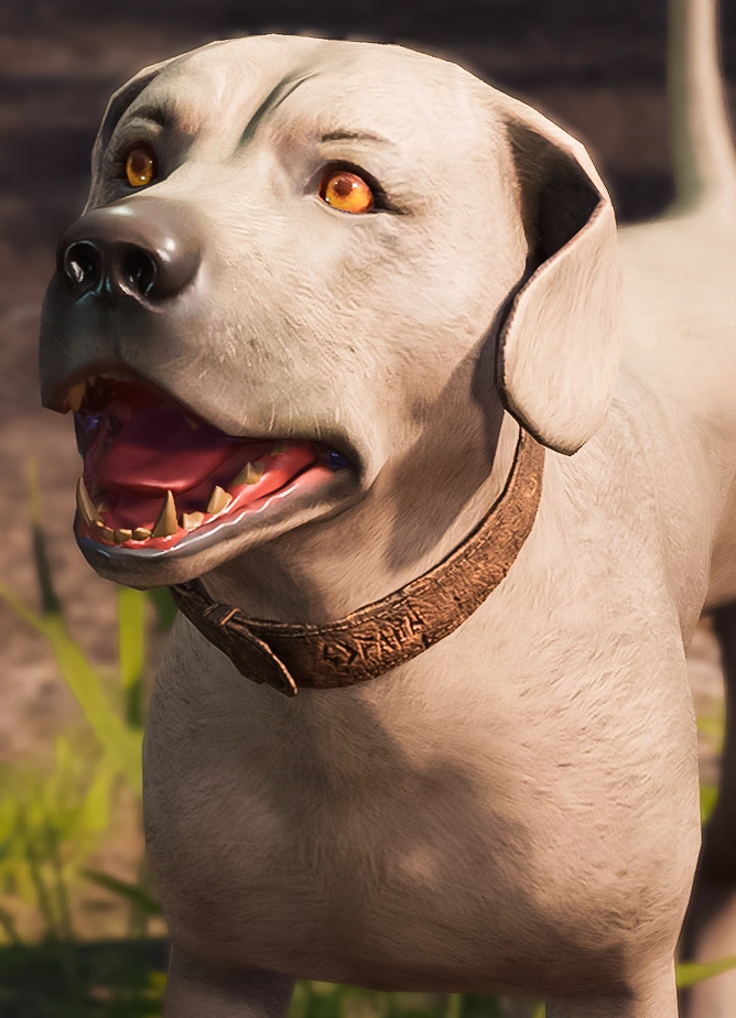 Иллитид baldur's gate. Сердце воина мультфильм 2015 волк. Baldur s gate 3 собачий ошейник. Баал балдурс гейт. Baldur's gate 3.