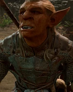 Кликуша Шершень