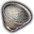 Essence of Timmask Spores Item Icon