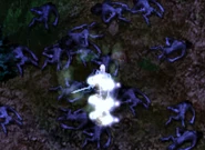 Laurel getting healed after the battle (BGee).png (257 KB) Laurel gets healed after the battle is over (BG:EE, nighttime)