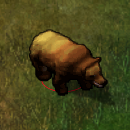 Cave bear
