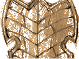 Reflection Shield