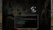 When a Blue globe is dispensed, a lone female mage of varying experience levels (14 through 20) spawns each time the blue button is pressed. These identical looking mages get more powerful each time they appear.