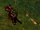 Kobold Commando