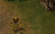 Ogre (A Rogue Ogre) BG1EE