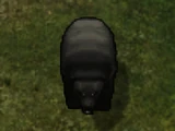 Black Bear