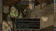 Screenshot showing the dialogue to get the quest registered, with no replies that will scuttle it.