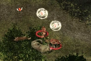 Dire Wolves stopped by Hold Animal (SoD).png (131 KB) Two Dire Wolves held by Jaheira (SoD)
