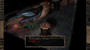 Screenshot indicating choices of party actions now.