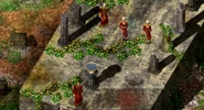Red Wizard's of They