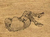 Duke Eltan's Body