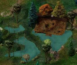 Submerged House BGEE