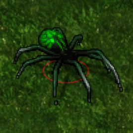 BGEE PhaseSpider